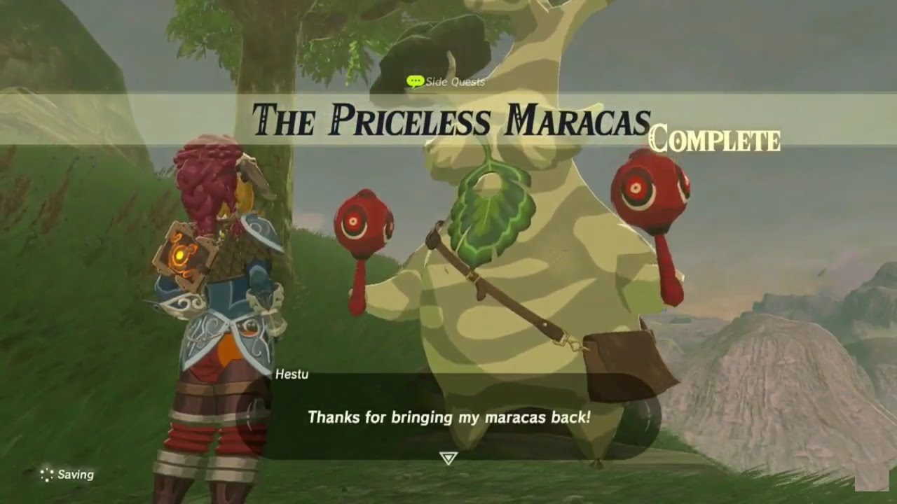 Legend of Zelda Breath of the Wild The Priceless Maracas Guide The